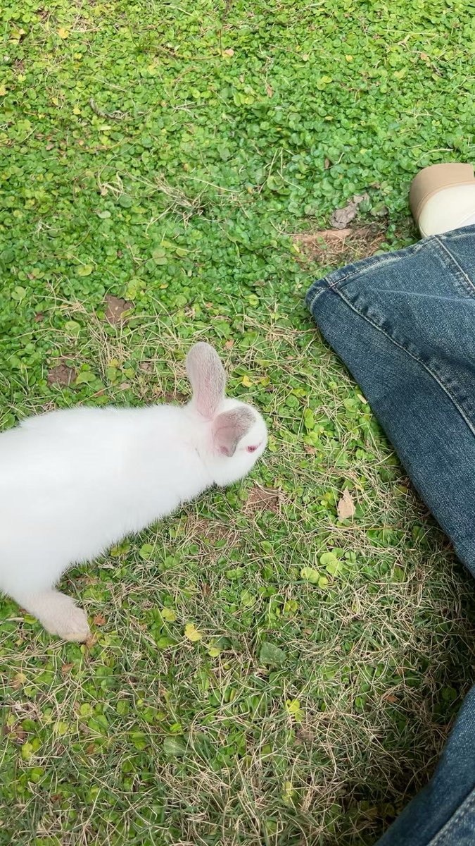 The sun will rise, and we will try again.