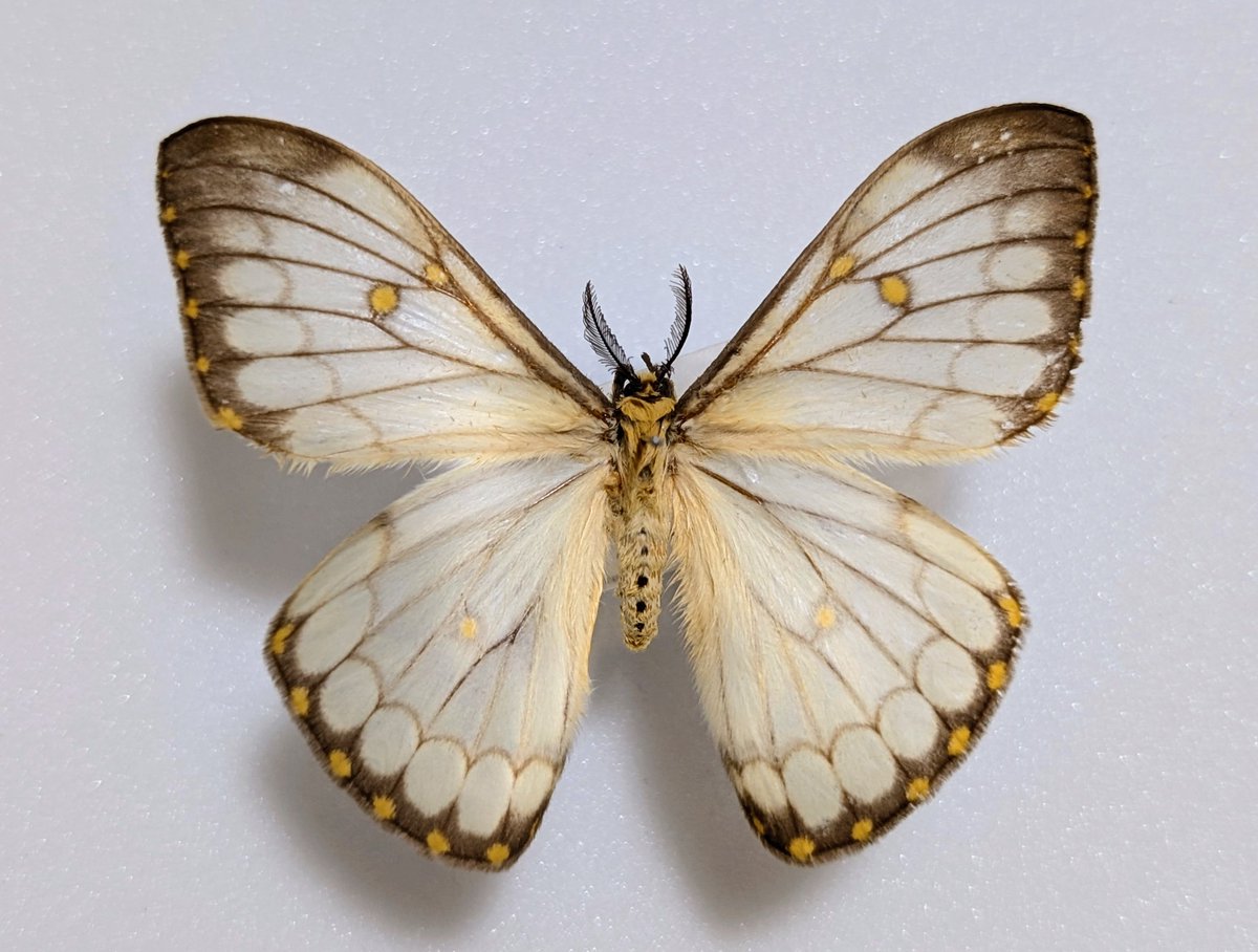 M0 (@mom0mom0mom0m00) / Posts / X