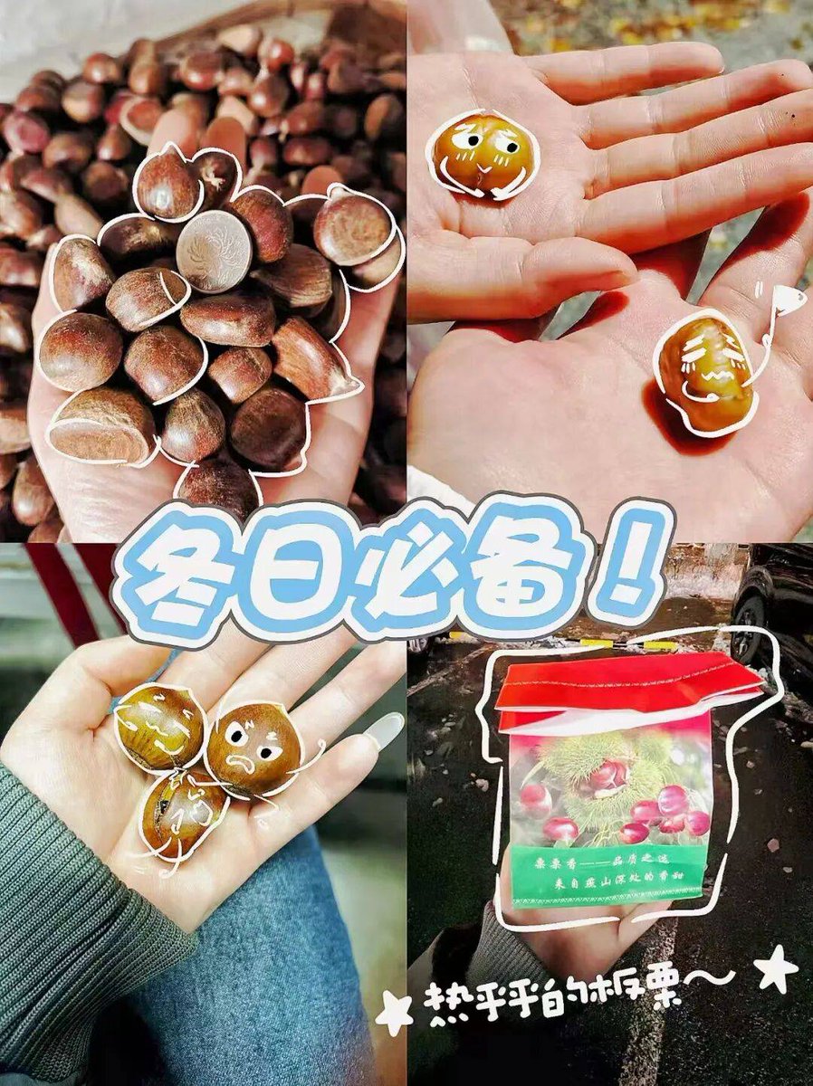 D0w2Ho89uIE38L2's tweet photo. 刚出炉的糖炒栗子！外壳裂着金口，咬开是糯叽叽的甜香，揣一袋暖手又暖胃～ https://t.co/mVSFzIKOSC