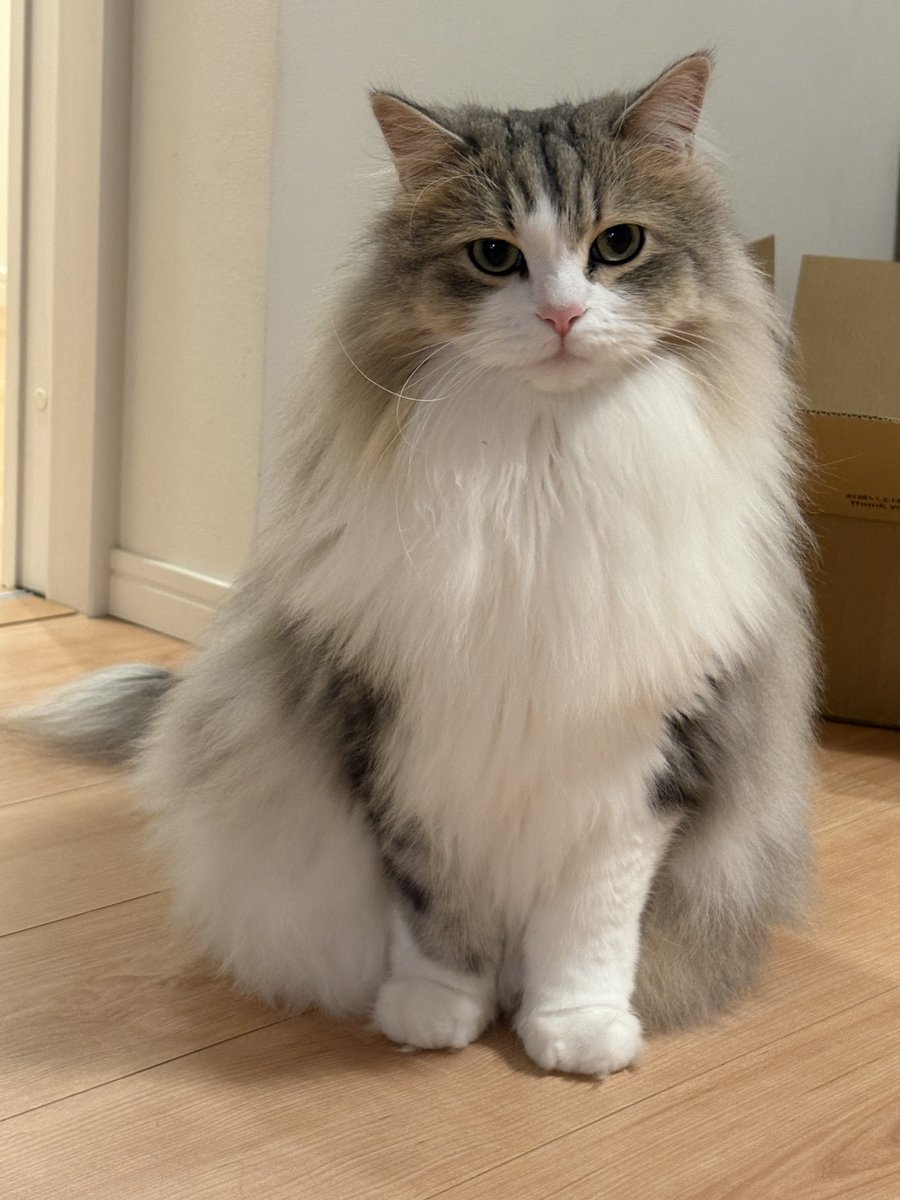 kankan🚒🔥PPMPPPPPP (@kankan551) / Posts / X