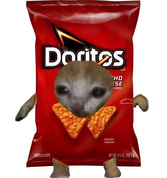 Brotes23 tweet media