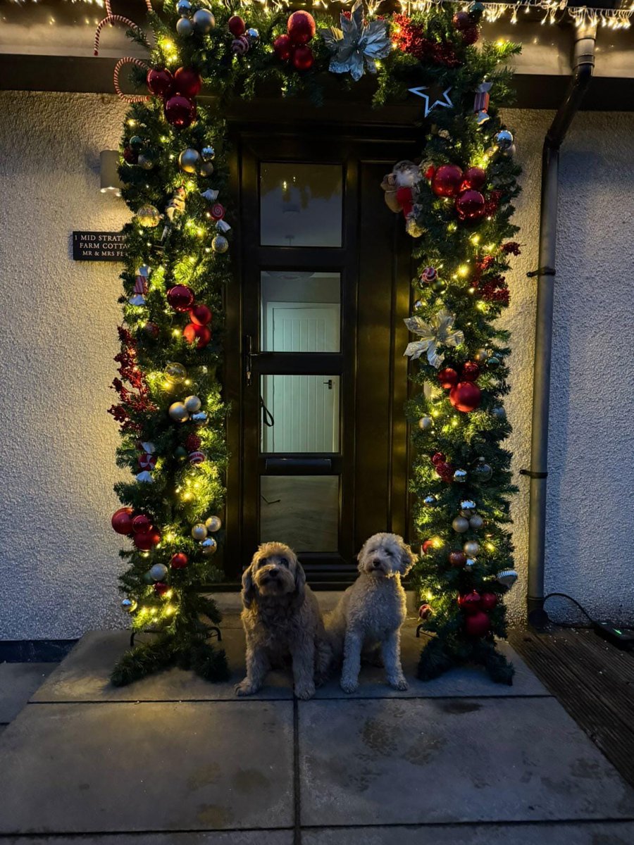 Window Store tweet media