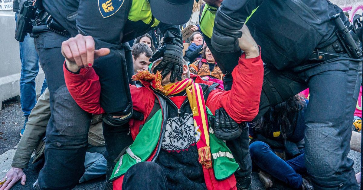 Investico tweet media