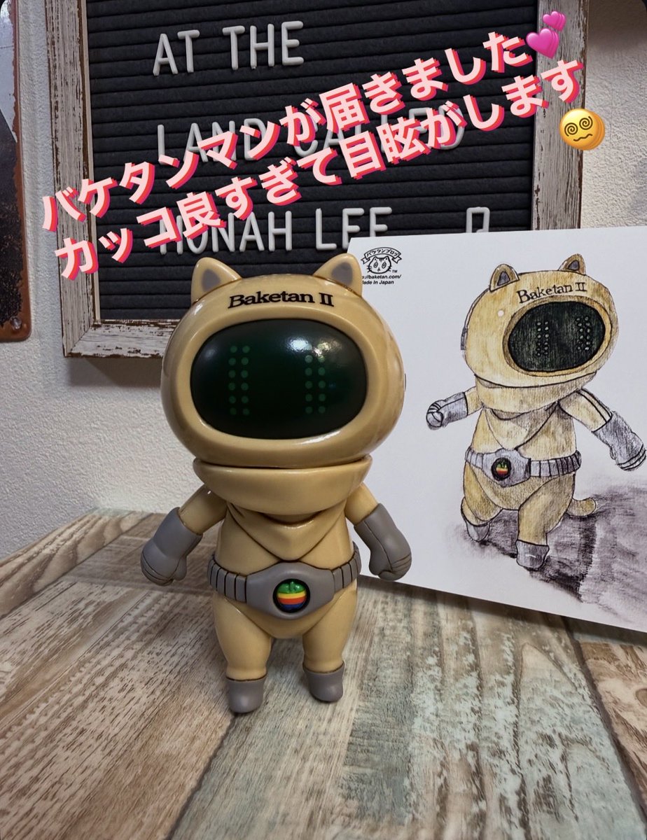 チェリ@バケタンブログ (@cherri_cherri) / Posts / X