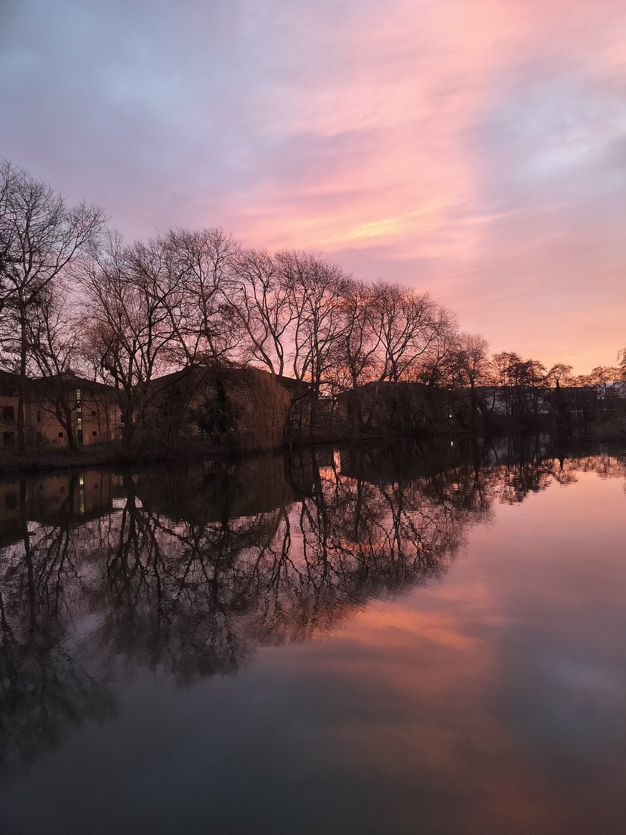 ChallengeFiftyTwo tweet media