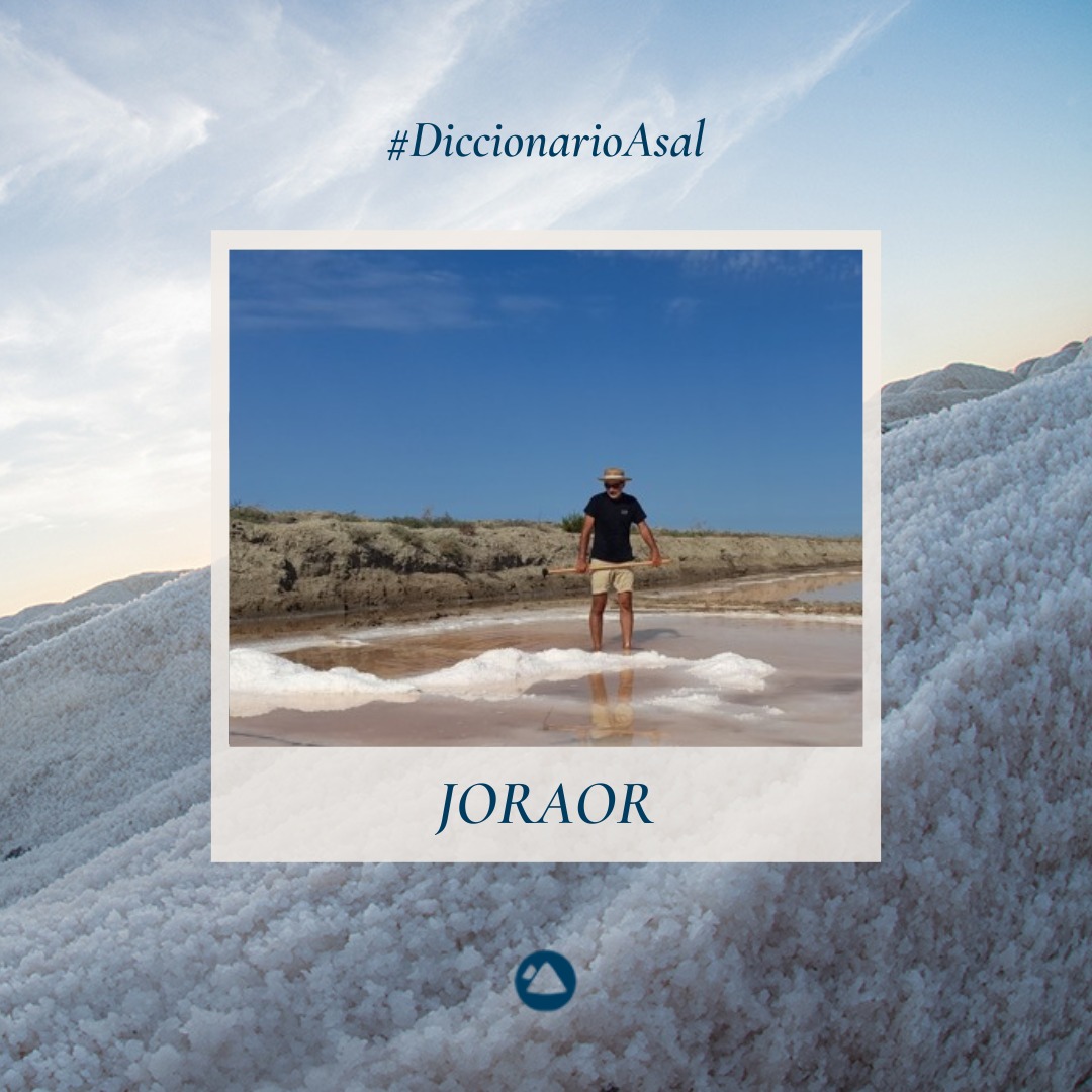#DiccionarioAsal: Joraor

🔹Palo para hacer un ojal (agujero) por donde sacar el agua al tajo desde la cabecera.

#SalMarina #GrupoAsal