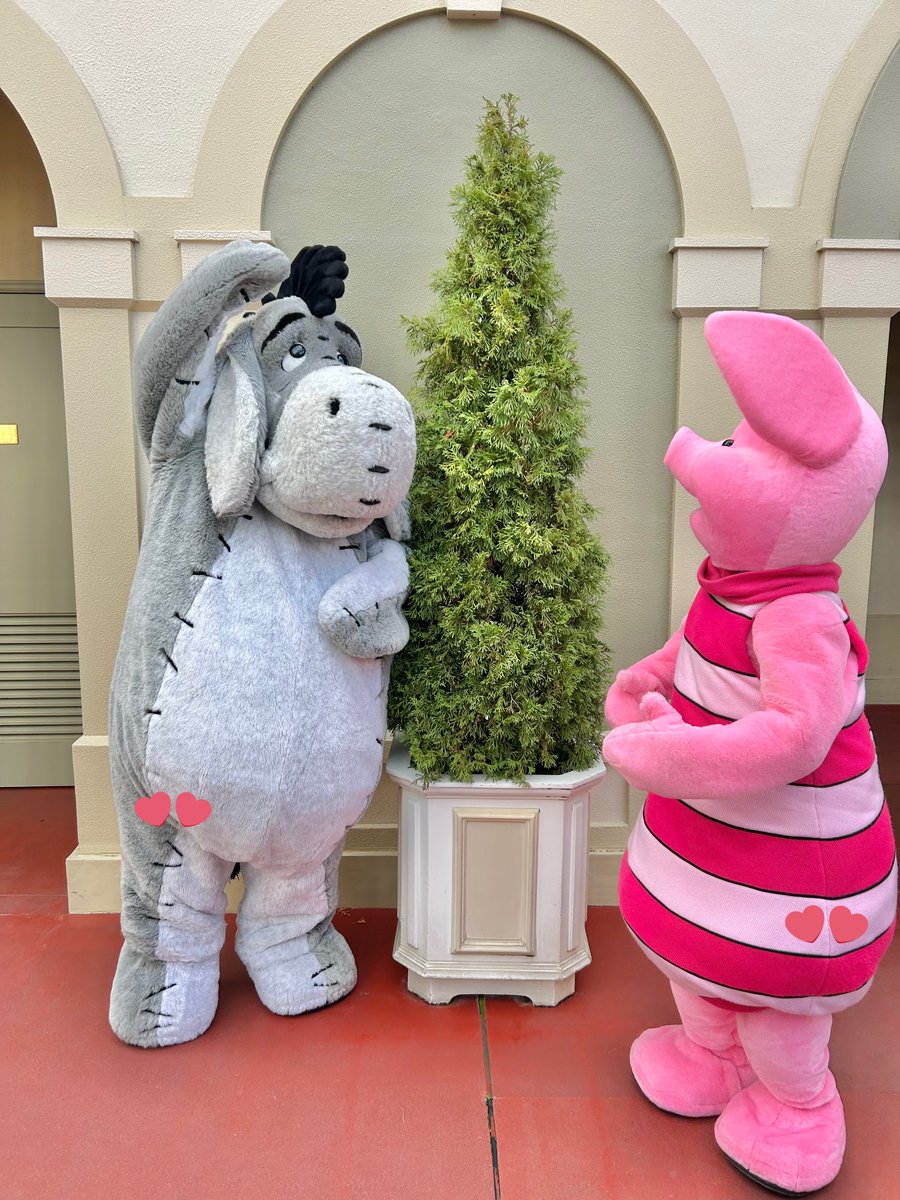 ピグレット🐷 (@pigletniaitai) / Posts / X