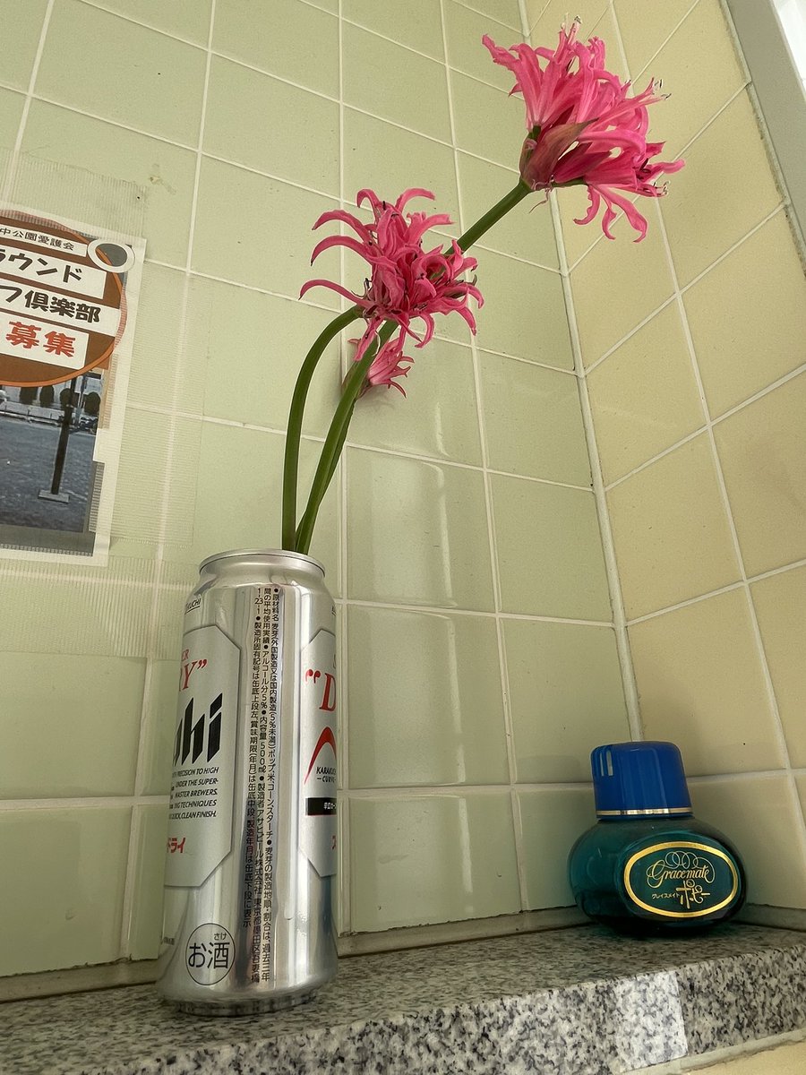 美しい古美術◾️蔵から、可憐な花が咲き誇るかなり超可愛い花瓶、壺が