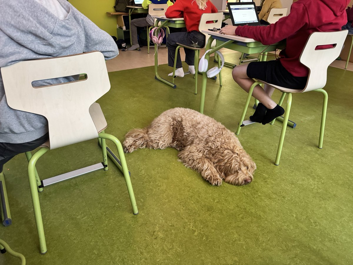 Beppie update:

‘Ik mocht weer eens ‘n dagje mee met de stichting! 
Pfff…
Geen reet aan hier!’

-Beppie!