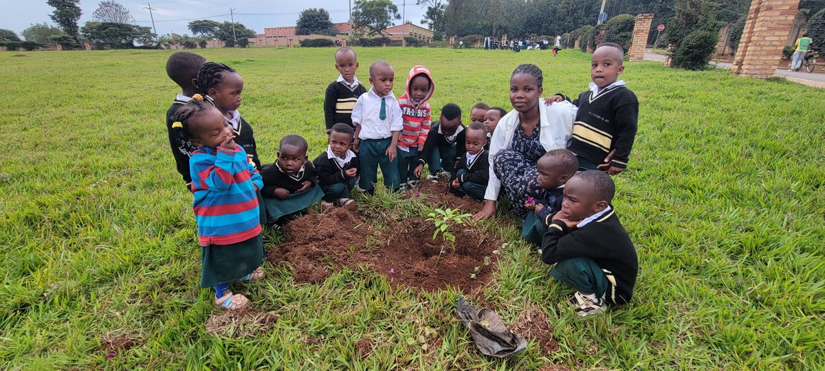 School For Excellence IMANZI (SFE IMANZI) tweet media