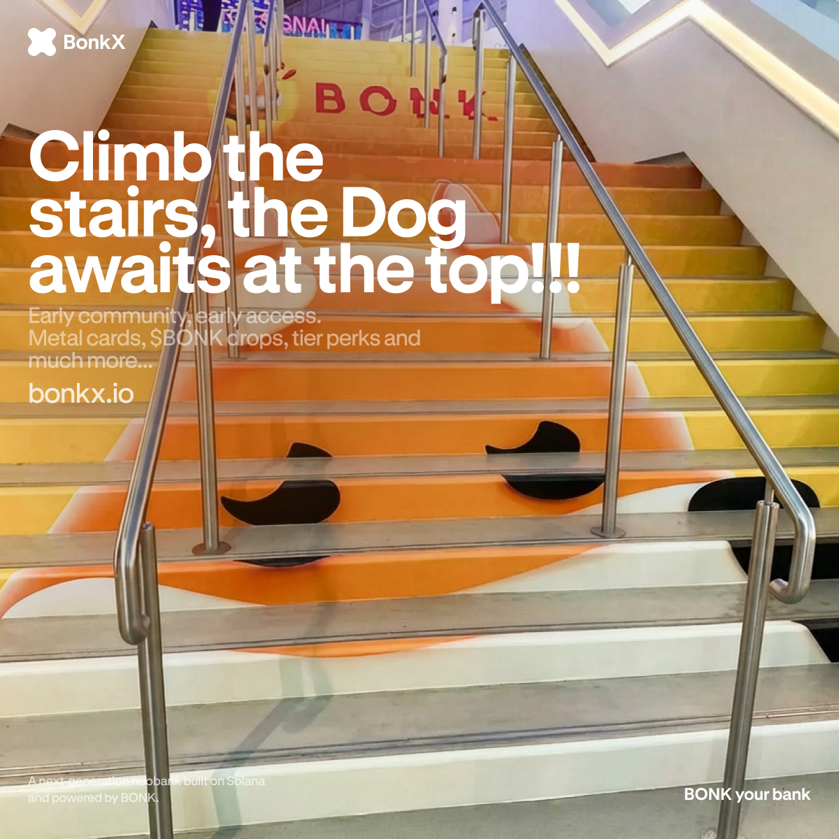 your spot is waiting

BONK your bank