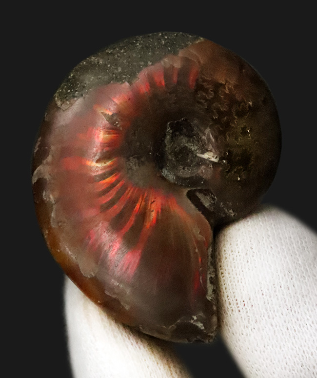 美しい遊色と繊細な縫合線模様を同時に楽しめる！両面が輝く、上質遊色