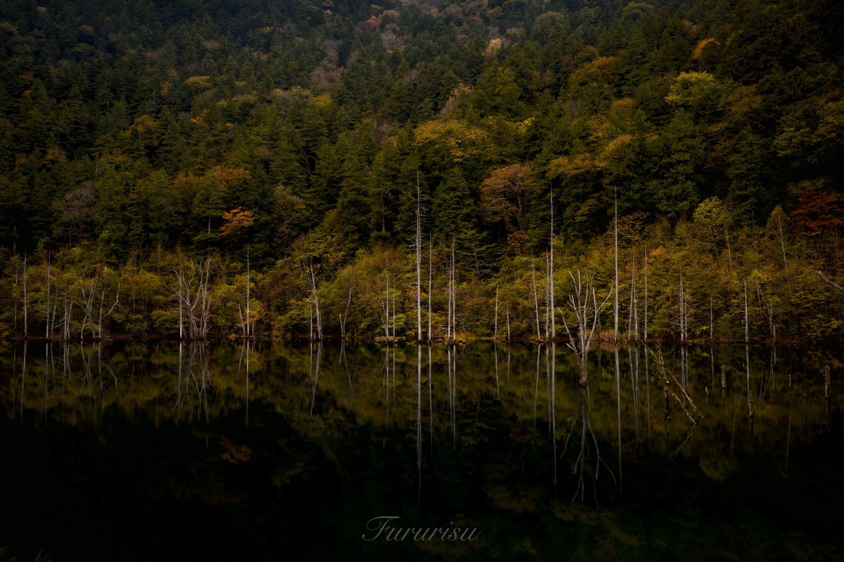 愛用レンズを画像付きで布教する Z24-70 F2.8 S 1型でもこんなに綺麗に