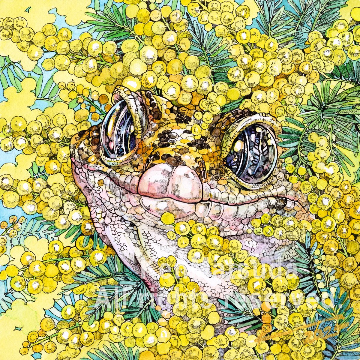 Post by マツダケン@12/4〜16銀座個展 on X: 覗き見半吉