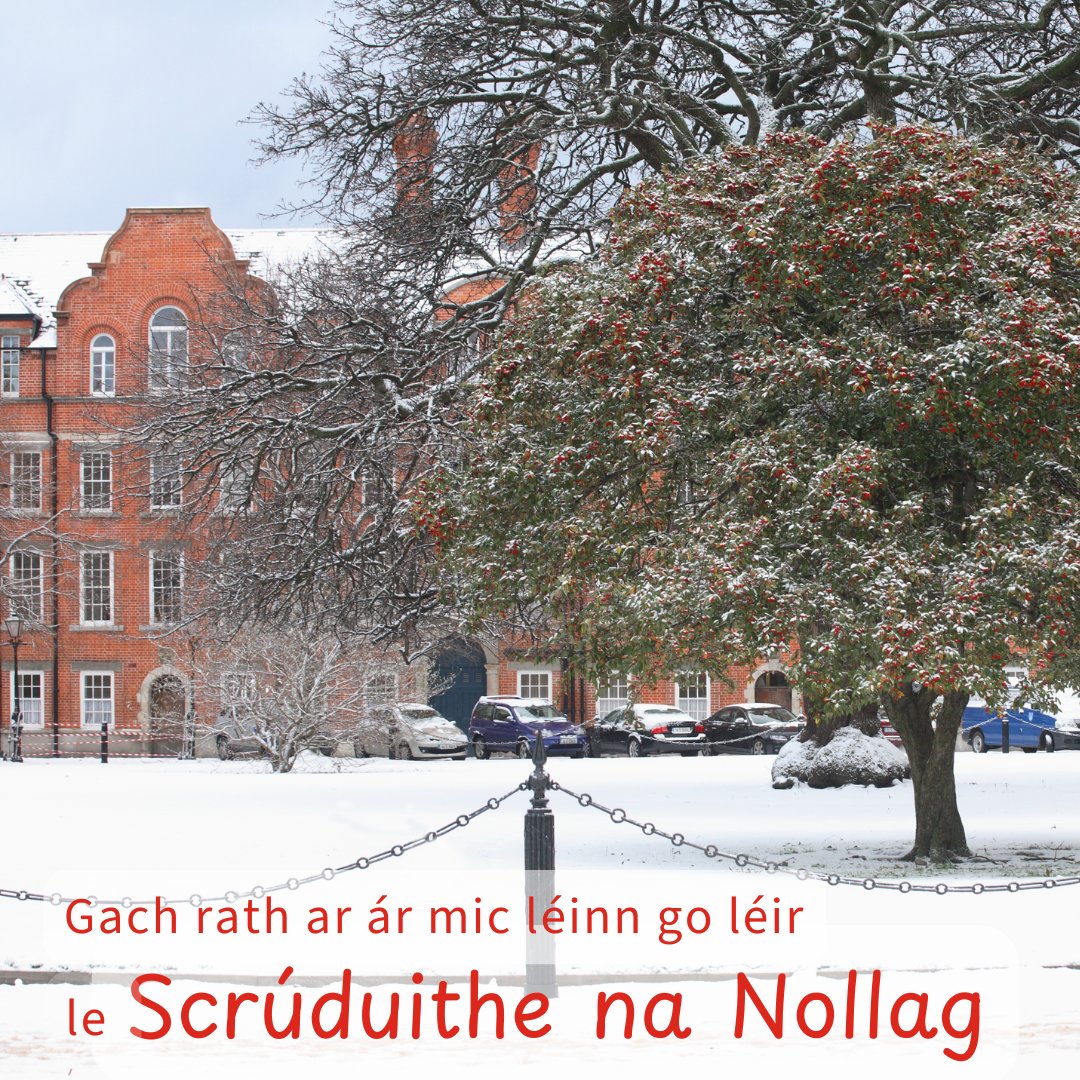 Trinity College Dublin tweet media