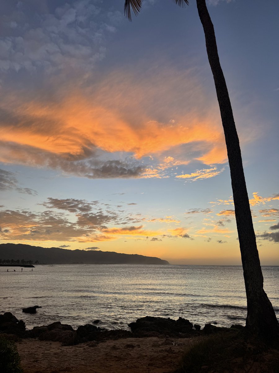 kaihereX's tweet image. 