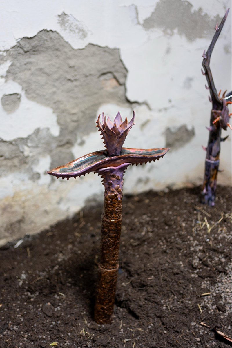 LIMITROFI tweet media