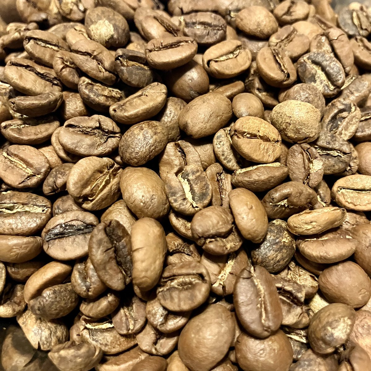 味覚で日本一を狙う無名の男☕️どあ tweet media