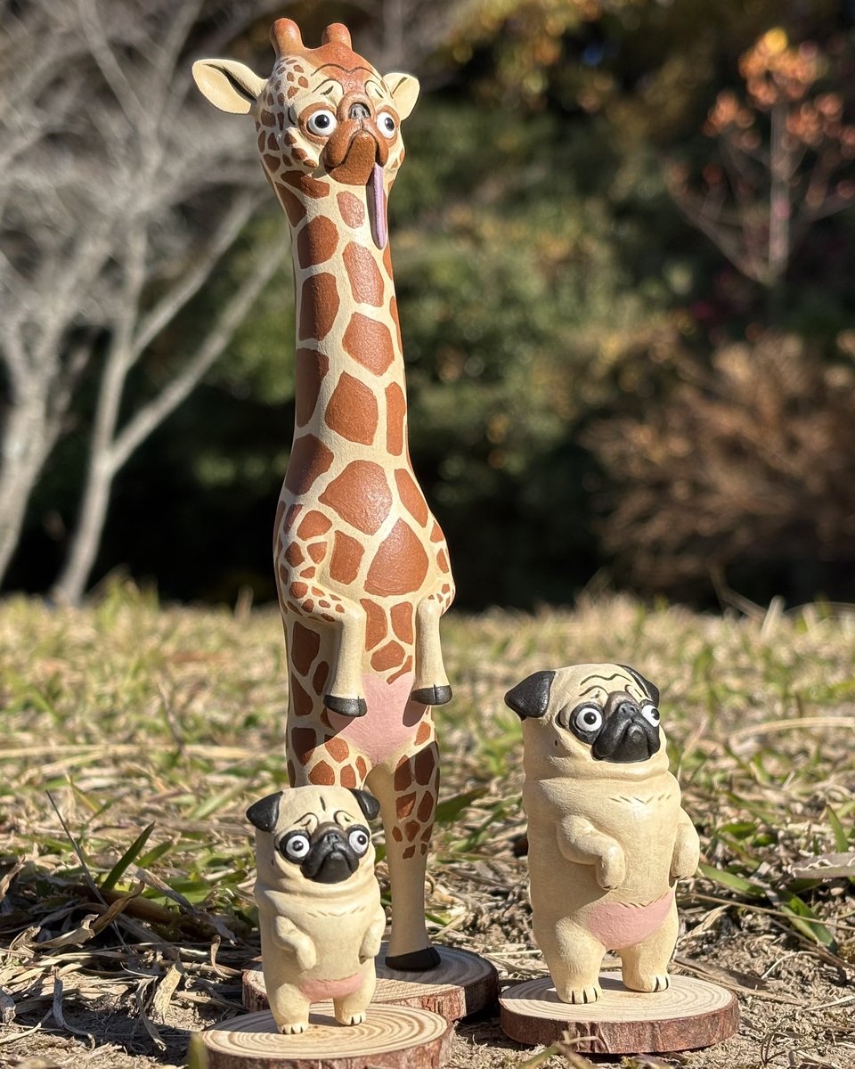 おもやまさんとおパグさん。 (@love_pug_life) / Posts / X