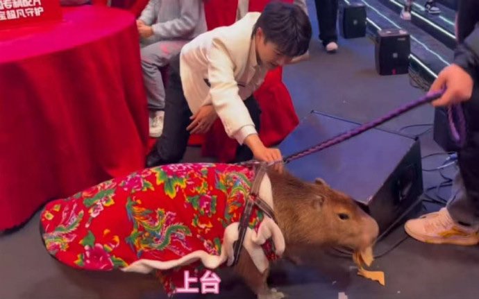 区块链行情研究 tweet media