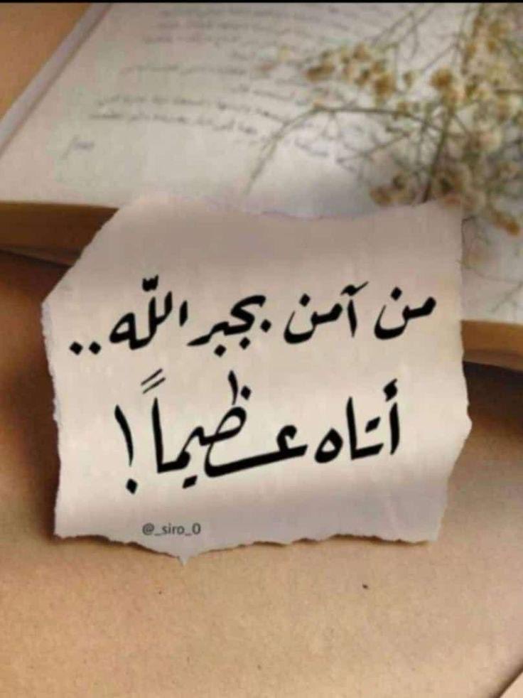 🦋أُمنية تبقى حلماً🦋 tweet media
