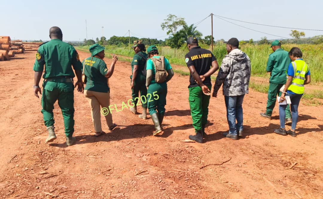 FLAG Cameroon tweet media