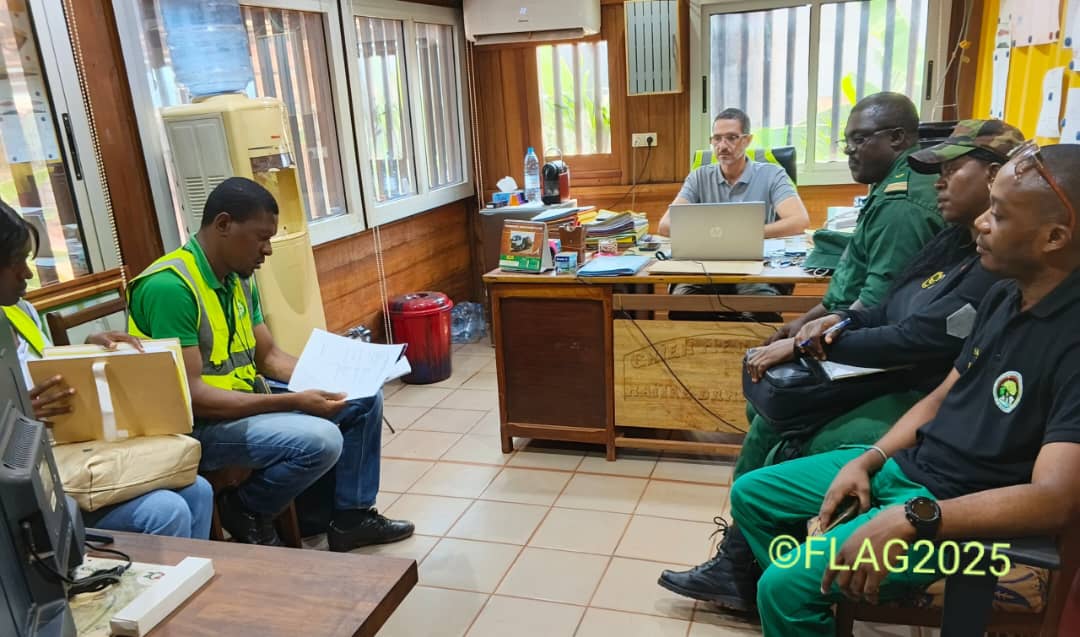 FLAG Cameroon tweet media