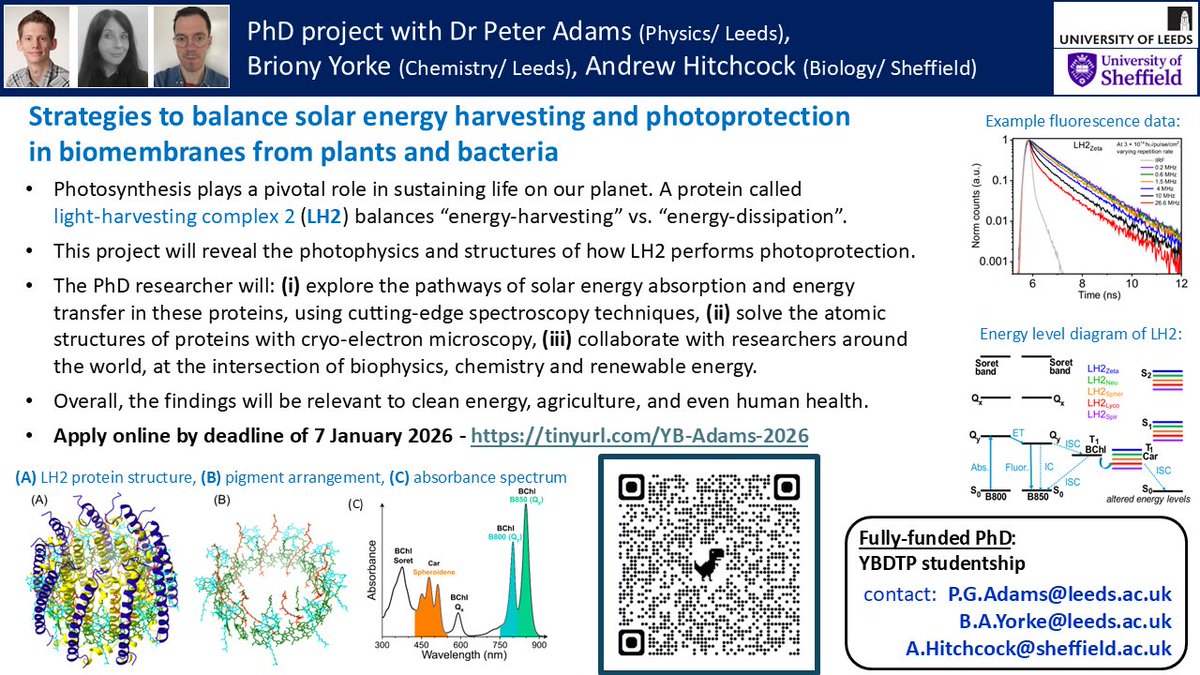Peter Adams tweet media
