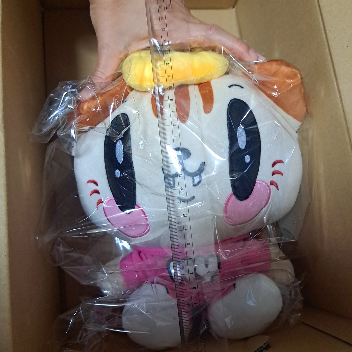 さっとん🐷 (@Sachi_gene3) / Posts / X