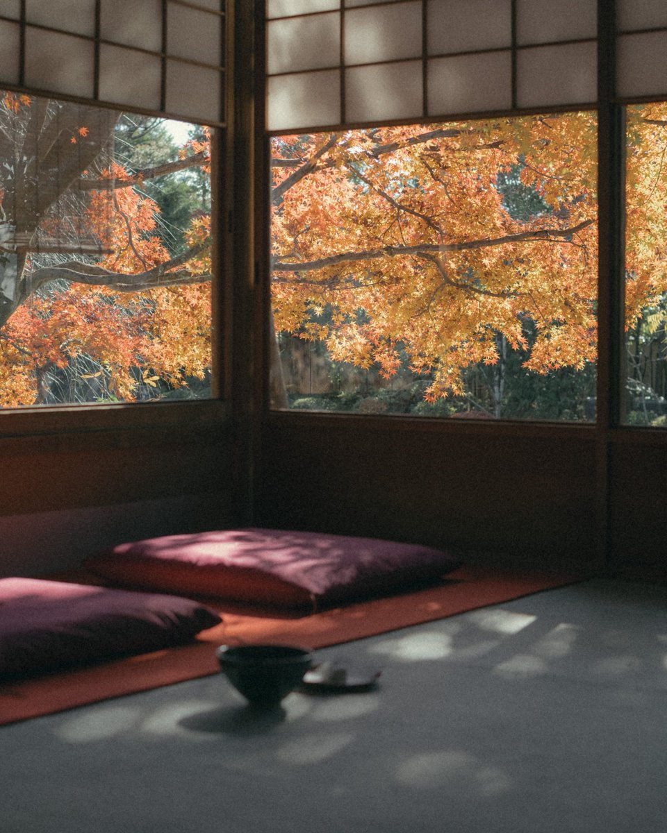 Nao (@Naonox_photo) / Posts / X