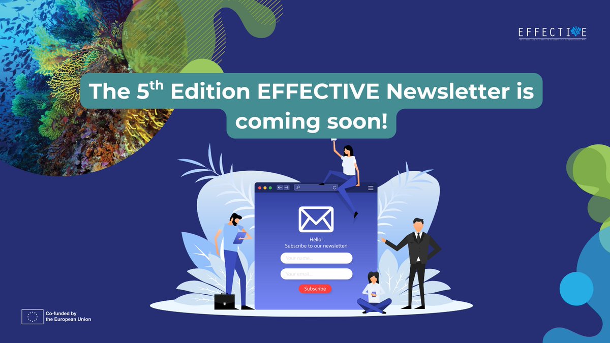 EFFECTIVE-Project tweet media