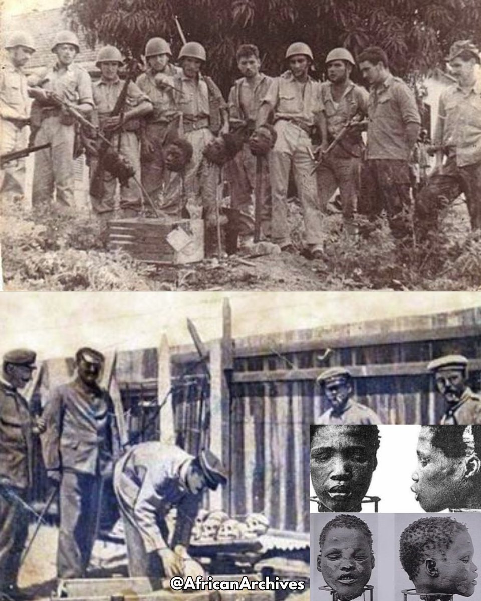 AFRICAN & BLACK HISTORY tweet media