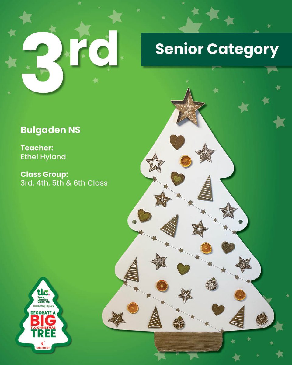 Team Limerick Clean-Up tweet media