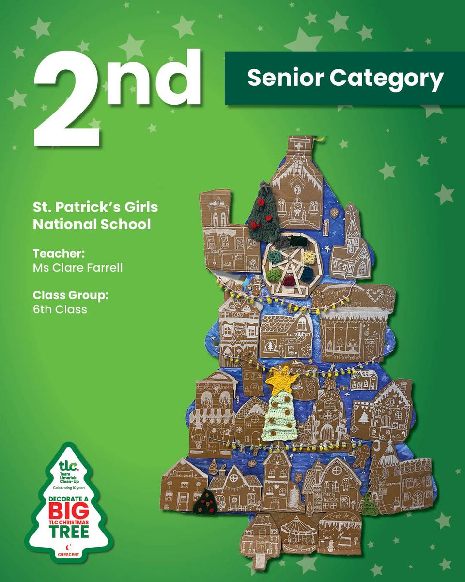 Team Limerick Clean-Up tweet media