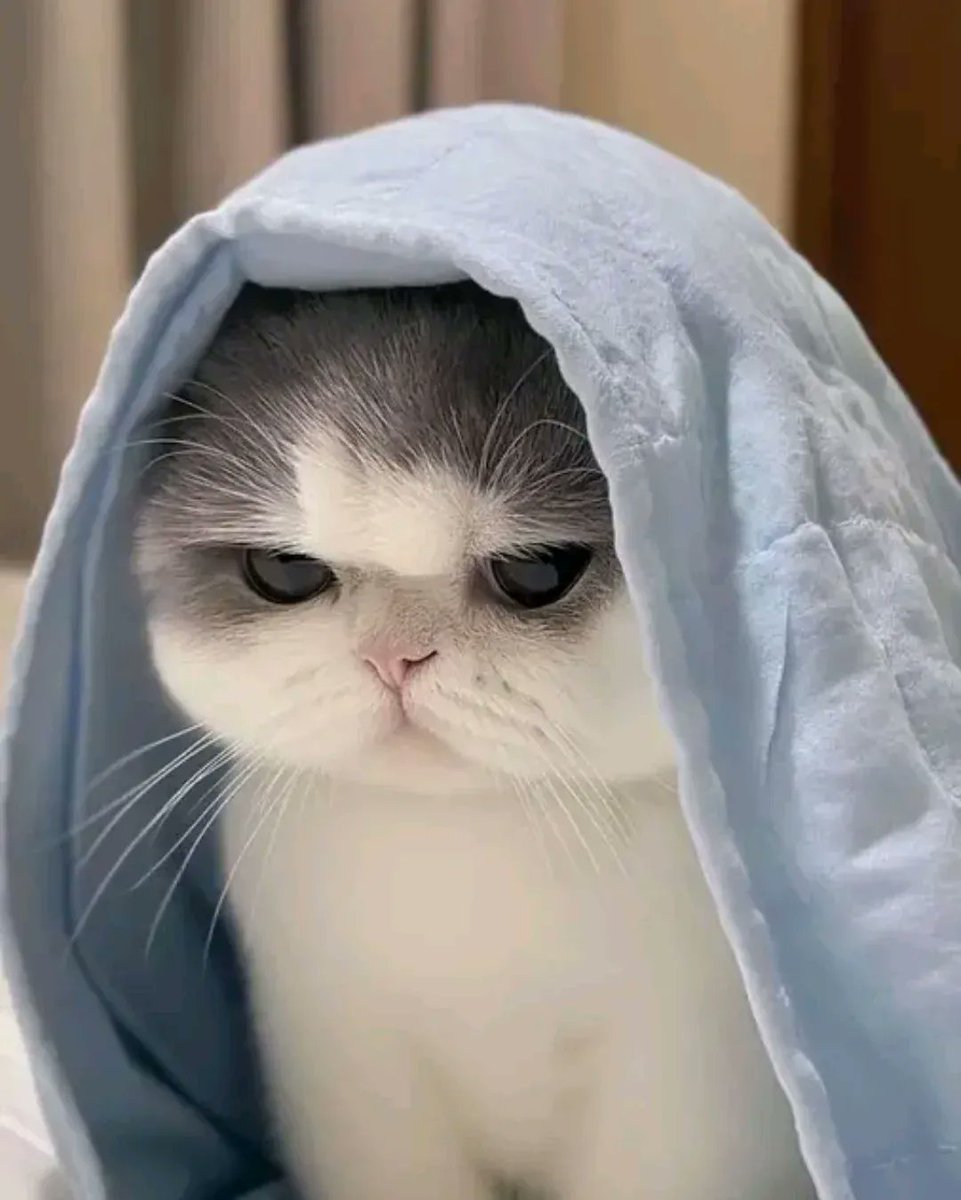 Wants to stay in bed all day