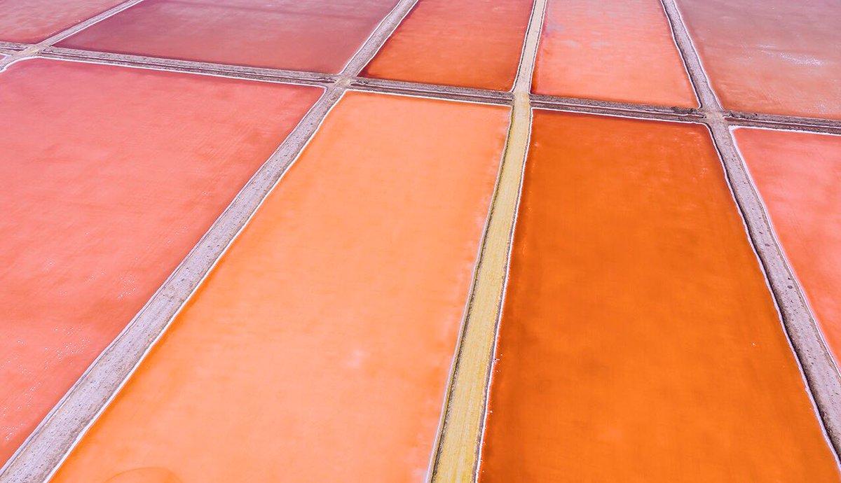 Esta paleta de colores digna de fotografía la podemos encontrar en las salinas de Grupo Asal 🔸

#SalMarina #GrupoAsal