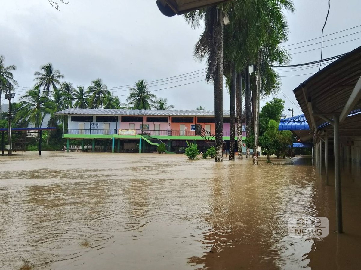 onenews31's tweet image. 