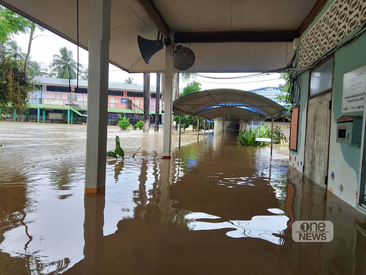 onenews31's tweet image. 