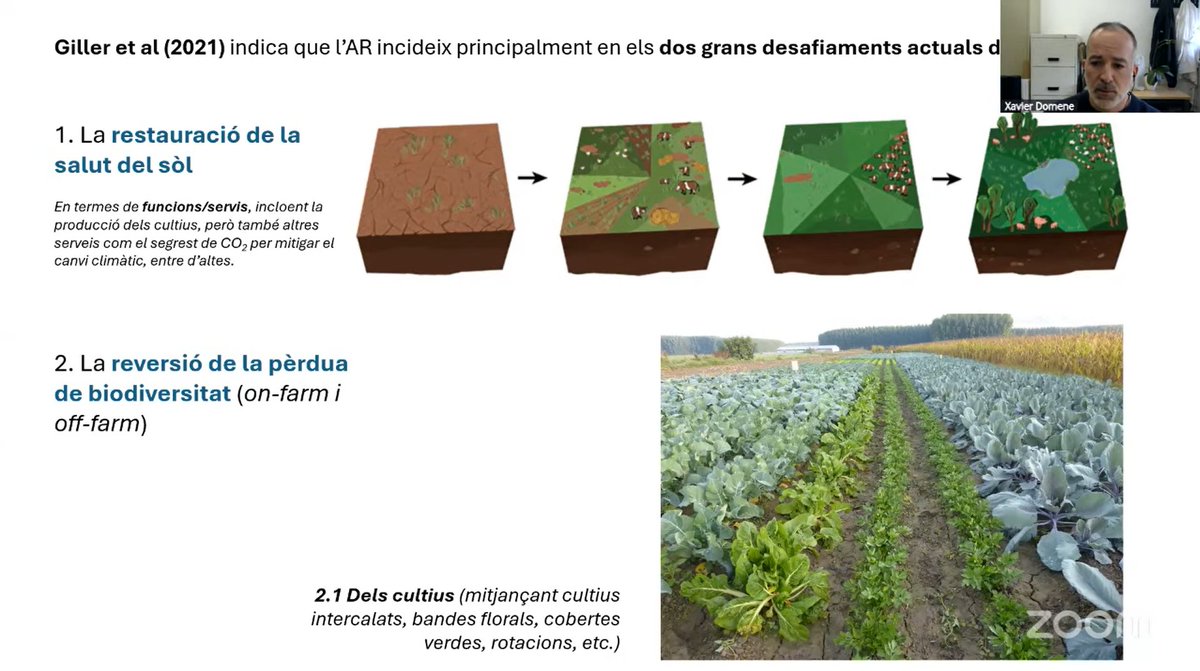Prismàtic tweet media