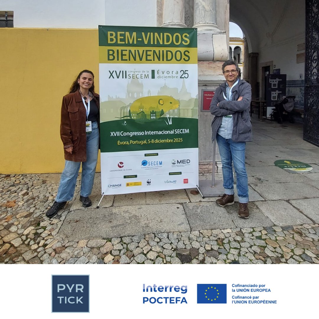 Pyrtick Poctefa tweet media