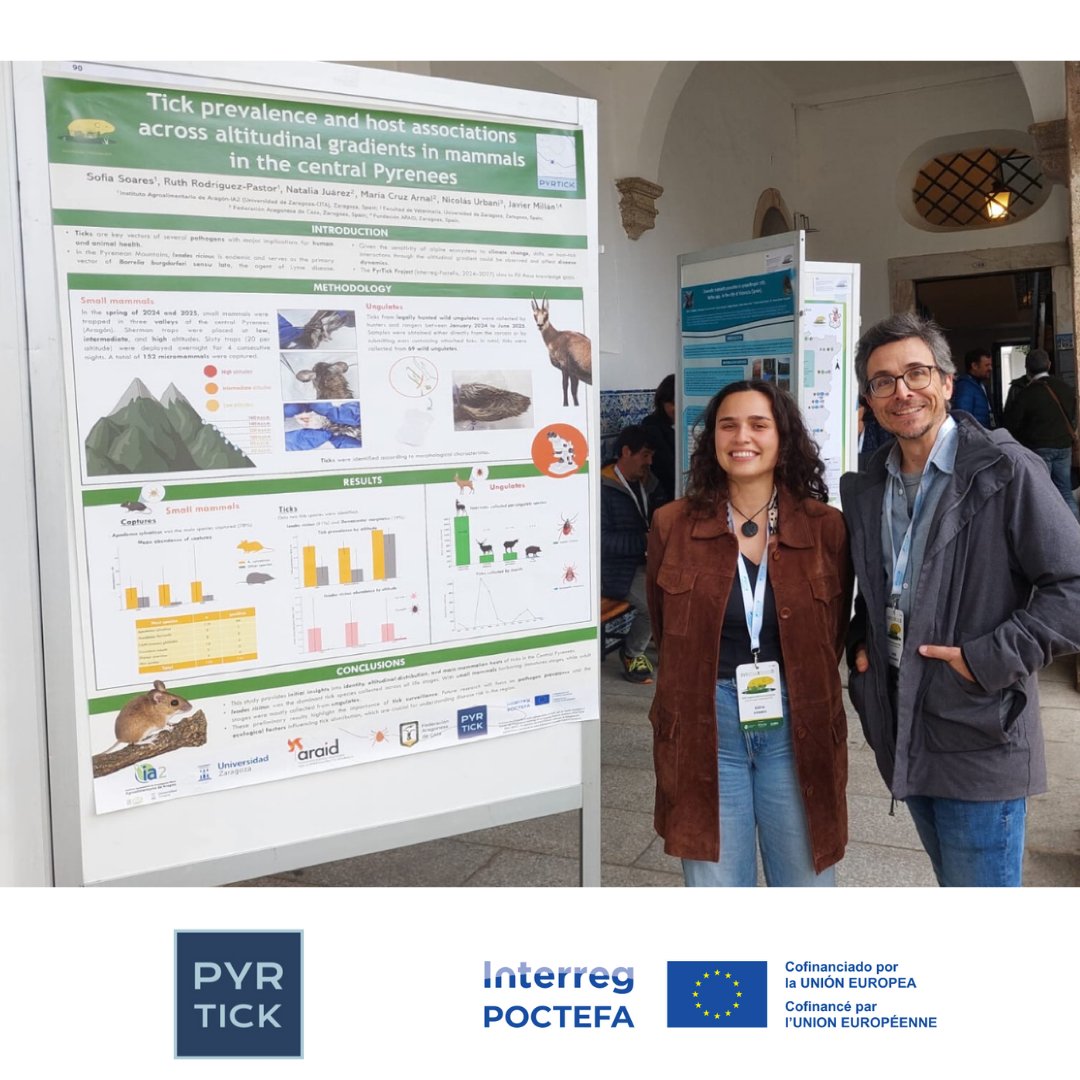 Pyrtick Poctefa tweet media