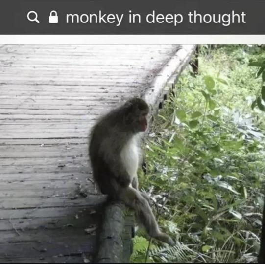 Las ganas que he tenido de mandar todo pa la verga estos últimos 2 meses están potentes xd

Me caga sobrepensar todo lo malo y sentirme así.