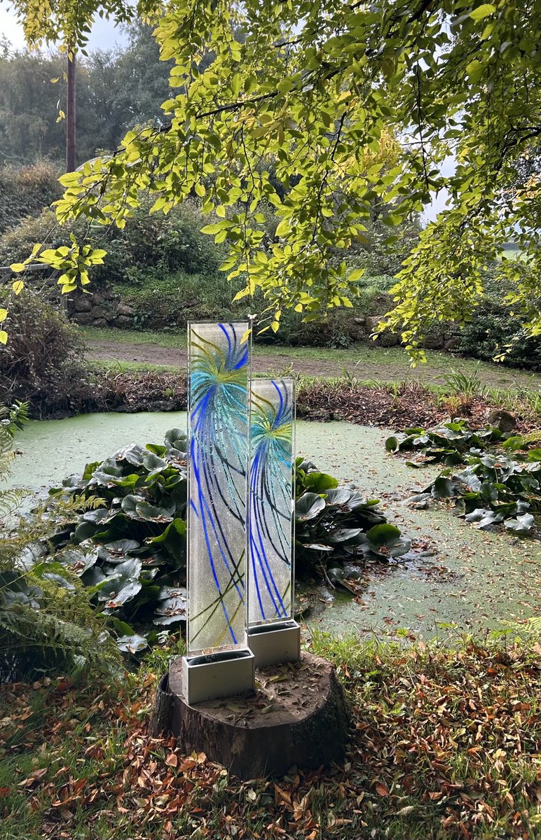 Steve Robinson tweet media