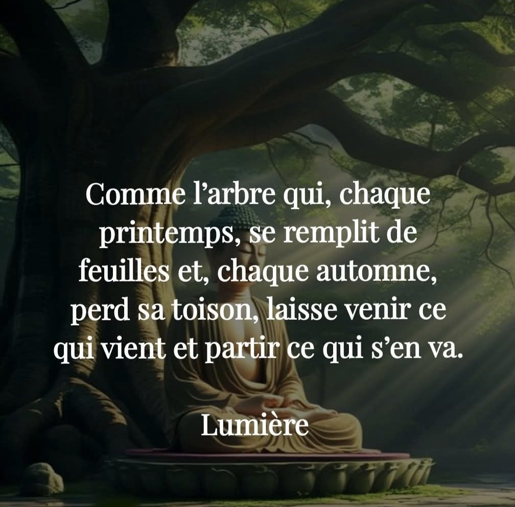 Sagesse Pure tweet media