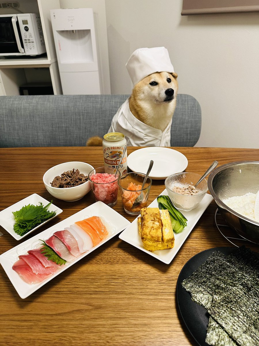 PutenSibainu's tweet photo. 手巻き寿司🍣

 #柴犬 https://t.co/UOpynNjHH9