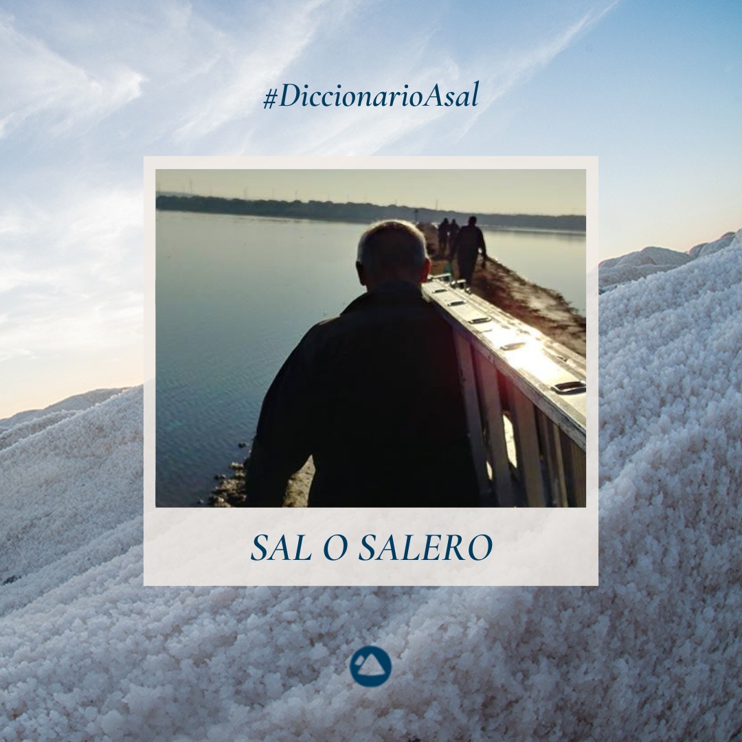 #DiccionarioAsal: Sal o salero

👉 Gracia de una persona en el modo de hablar, de moverse o de comportarse. típica de de las tierras gaditanas que rodean las salinas.

#SalMarina #GrupoAsal