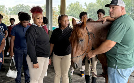 SLPEconDev's tweet image. Attendees to the recent 2025 Equine Day in St. Landry Parish learned from professionals about what it takes to enter and succeed in the industry. Learn more: rebrand.ly/bh5jfp3