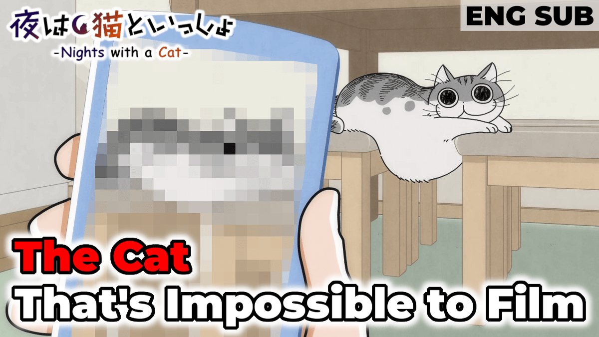 KadoAniClips_en's tweet photo. When Fuuta-kun spots Kyuruga in a funny pose, he grabs his phone for a photo, but the picture just doesn't capture what he sees...📹

The Cat That Can't Be Filmed🐱
https://t.co/6N0OCch8JS

#NightsWithACat 
#yoruneko 
#Cat https://t.co/IweFdxeIlc