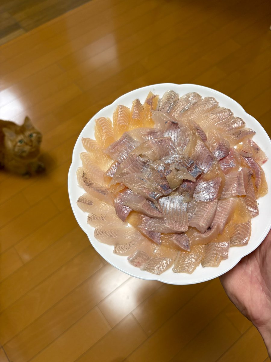 troutworthy's tweet photo. 今朝釣れたニジマスを刺身にしたら早速猫が狙ってる🐈
多摩湖駅前フィッシングエリアのスタッフさんに釣ってるところをちゃっかり撮られてて草

#多摩湖駅前フィッシングエリア
#エリアトラウト
#釣り好きな人と繋がりたい https://t.co/kkZGSEviip