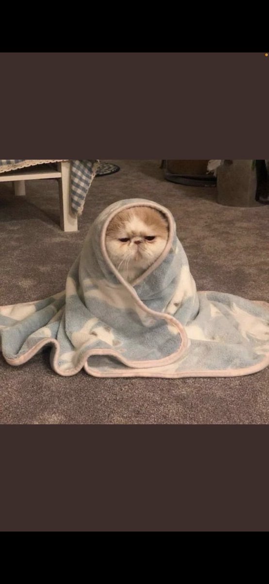 Hima (@hima_343) on Twitter photo 